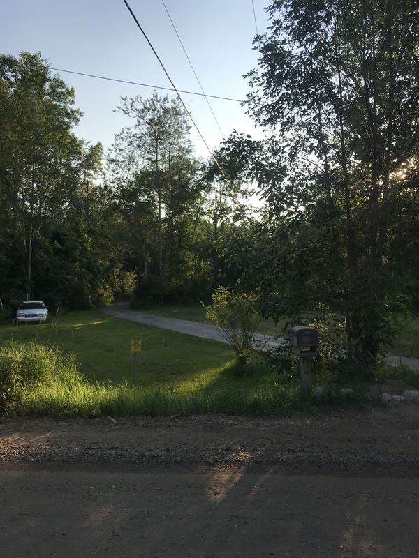 Shoup - July 2020 Photo (newer photo)